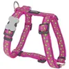Image de Red Dingo - Harnais Chien Fantaisie Rose Motifs Étoiles Taille : T3