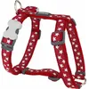 Image de Red Dingo - Harnais Chien Fantaisie Rouge Motifs Étoiles Taille : T3