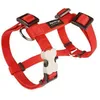 Image de Chadog - Harnais Chien Réglable Red Dingo Basic Rouge Taille : T3