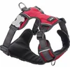 Image de Harnais pour chien Red Dingo rembourré rouge taille S