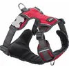 Image de Red Dingo - Harnais Chien Rembourré Rouge Taille : T2