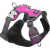 Image de Harnais pour chien Red Dingo rembourré rose taille XS