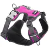 Image de Red Dingo Acolchado Pvc Harnais Fuchsia Taille S