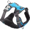 Image de Harnais pour chien Red Dingo rembourré turquoise taille S