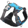 Image de Red Dingo - Harnais Chien Rembourré Turquoise Taille : T2