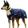 Image de Weatherbeeta Comfitec Premier Deluxe Waterproof Dog Coat - Taille 55 - Bleu
