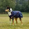 Image de Weatherbeeta Comfitec Premier Deluxe Waterproof Dog Coat - Taille 65 - Bleu
