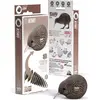 Image de Eugy Kiwi - Puzzle 3D écologique pour les enfants à partir de 6 ans