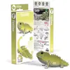 Image de Maquette EUGY 3D - Tuatara - Maquette en carton - DA-5313904