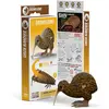 Image de Maquette EUGY 3D - Kiwi - Maquette en carton - DA-5313991