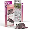 Image de Maquette EUGY 3D - Tatou - Maquette en carton - DA-5313995