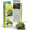 Image de Eugy le perroquet kakapo. Eco Jigsaw 3D