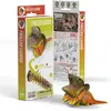 Image de Maquette EUGY 3D - Lézard - Maquette en carton - DA-5314008