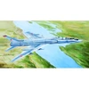 Image de Maquette Fiddler Tu-128UT 1/72 - Trumpeter Maquette d'avion - Trum01688
