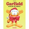 Image de Garfield - Tome 17 - Garfield n'est pas un cadeau en occasion ou reconditionné