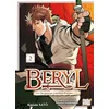 Image de Beryl : de paysan à maître d'armes T02 en occasion ou reconditionné