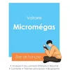 Image de Réussir son Bac de français 2024 : Analyse de Micromégas de Voltaire en occasion ou reconditionné