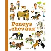 Image de Poneys et chevaux en occasion ou reconditionné