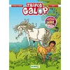 Image de Triple Galop - tome 11 en occasion ou reconditionné