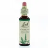 Image de FLEURS DE BACH Original n°01 Agrimony (aigremoine) fleur de bach flacon 20ml