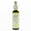 Image de FLEURS DE BACH Original n°07 Chestnut bud fleur de bach flacon compte-gouttes 20ml