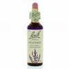 Image de FLEURS DE BACH Original n°14 Heather fleur de bach flacon compte-gouttes 20ml