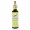 Image de FLEUR DE BACH Original n°16 Honey suckle fleur de bach flacon compte-gouttes 20ml