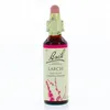 Image de FLEUR DE BACH Original n°19 Larch fleur de bach flacon 20ml