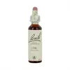 Image de FLEURS DE BACH Original n°22 Oak fleur de bach flacon compte-gouttes 20ml