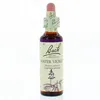 Image de FLEURS DE BACH Original n°34 Water violet fleur de bach flacon compte-gouttes 20ml