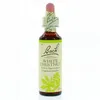 Image de FLEURS DE BACH Original n°35 White chestnut fleurs de bach flacon compte-gouttes 20ml