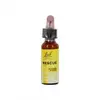 Image de FLEURS DE BACH Rescue fleurs de bach flacon 10ml