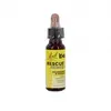 Image de FLEURS DE BACH Rescue fleurs de bach enfant flacon 10ml