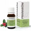 Image de PRANAROM Huile essentielle Gaultherie Couchée flacon 10ml