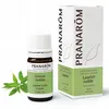 Image de PRANAROM Huile essentielle Laurier Noble flacon 5ml
