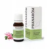 Image de PRANAROM Huile essentielle Géranium Egypte flacon 10ml