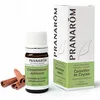 Image de PRANAROM Huile essentielle Cannelier de Ceylan bio flacon 5ml