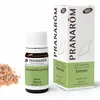 Image de PRANAROM Huile essentielle Encens bio flacon 5ml