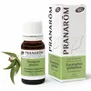 Image de PRANAROM Huile essentielle Eucalyptus Globulus bio flacon 10ml