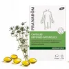 Image de PRANAROM Aromaforce - Capsules Défenses Naturelles 30 capsules