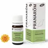 Image de PRANAROM Huile essentielle d'Immortelle bio 5ml