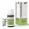 Image de PRANAROM Huile essentielle Lentisque Pistachier bio flacon 5ml