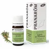 Image de PRANAROM Huile essentielle Cyprès bio flacon 5ml