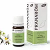 Image de PRANAROM Huile essentielle Ciste Ladanifere bio flacon 5ml