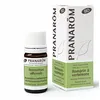 Image de PRANAROM Huile essentielle Romarin à Verbénone bio flacon 5ml