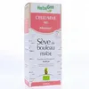 Image de HERBALGEM Séve de bouleau enrichie aux bourgeons frais - Sève minceur Peau d'orange Celluseve bio 250ml