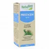 Image de HERBALGEM Concentré de bourgeons frais - Prestagem confort masculin 30ml