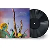 Image de LP de Grave Pleasures - Plagueboys - pour Indifférent - Standard Standard
