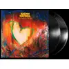 Image de LP de Snow Patrol - The Forest is the Path - pour Indifférent - Standard Standard