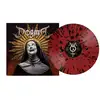Image de LP de Dogma - pour Indifférent - Standard Standard